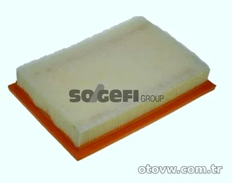 PURFLUX A1129 Hava Filtresi - PURFLUX - A1129